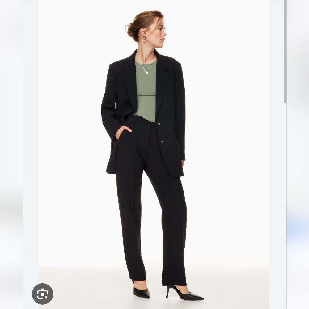 Aritzia Wilfred Chopin Pants In Grey